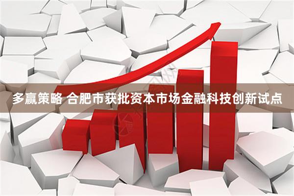 多赢策略 合肥市获批资本市场金融科技创新试点