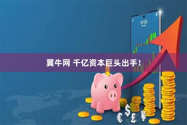 翼牛网 千亿资本巨头出手!