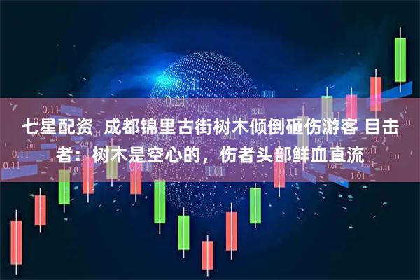 七星配资  成都锦里古街树木倾倒砸伤游客 目击者：树木是空心的，伤者头部鲜血直流